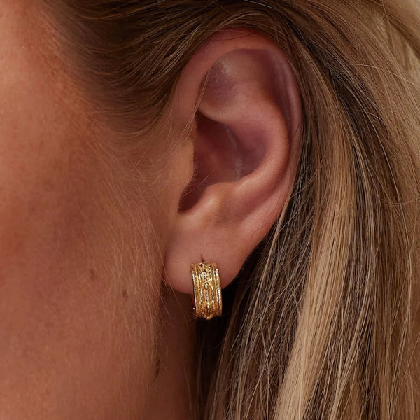 Nala Gold Hoops | Toni May