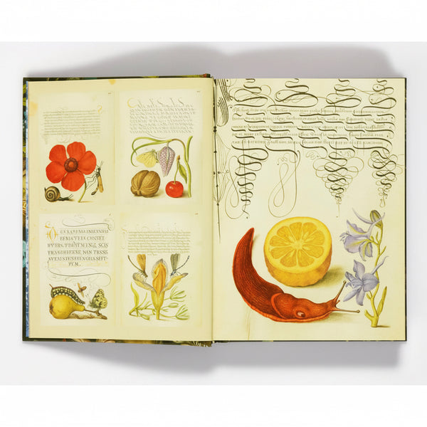 The Esoterica Sticker Book