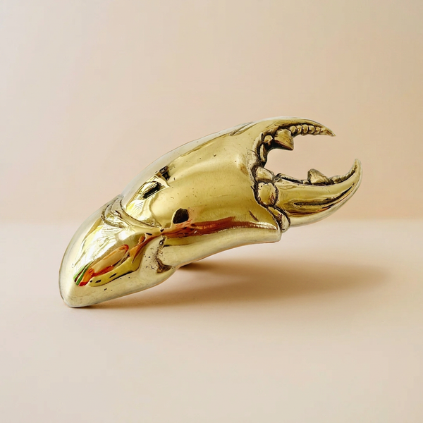 Crab Claw Bottle Opener