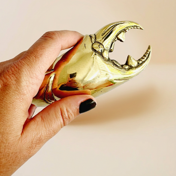 Crab Claw Bottle Opener
