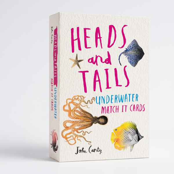 Heads & Tails | Underwater Match It Cards