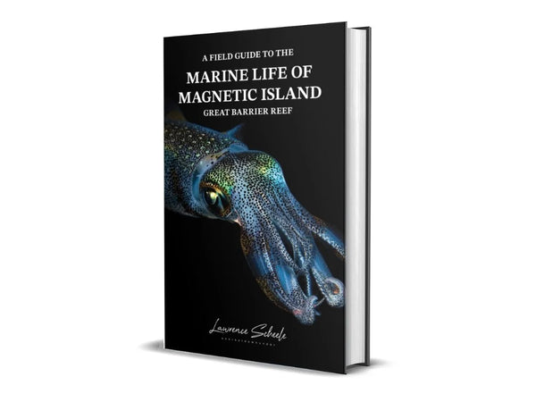 A Field Guide To The Marine Life Of Magnetic Island