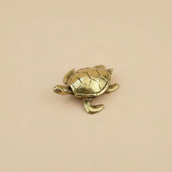 Brass Turtle