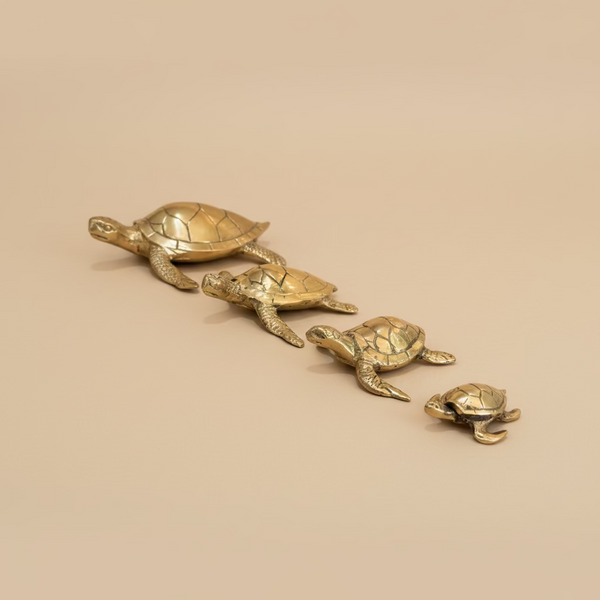 Brass Turtle