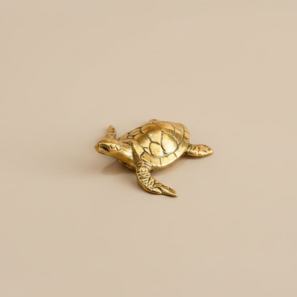 Brass Turtle