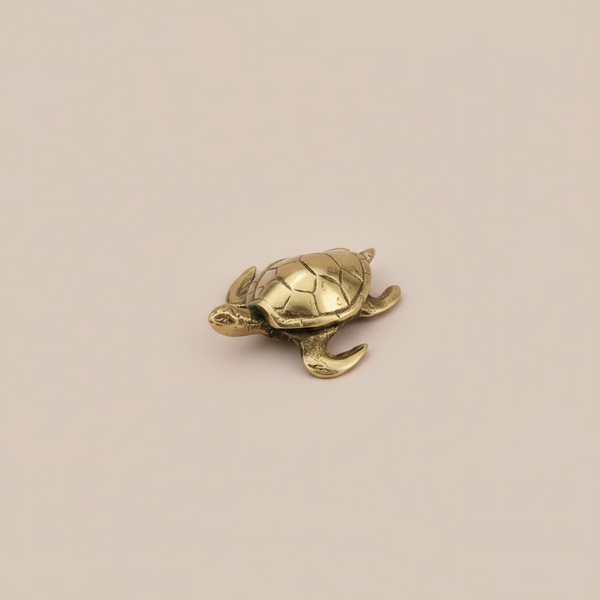 Brass Turtle