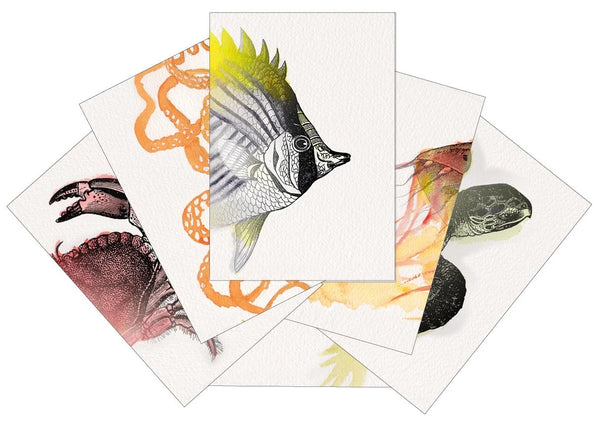 Heads & Tails | Underwater Match It Cards