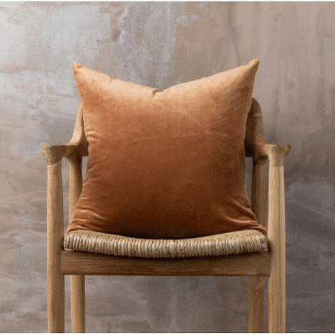 Linen + Velvet Feather Cushion | Terracotta