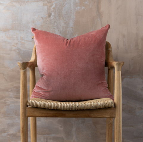 Linen + Velvet Feather Cushion | Guava