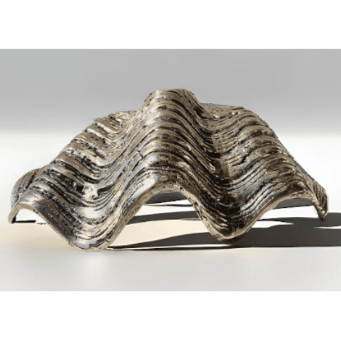 Juniber Shell Brass Clam Shell – Juniper and Company