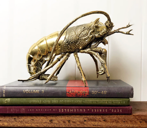 Brass Pacific Lobster