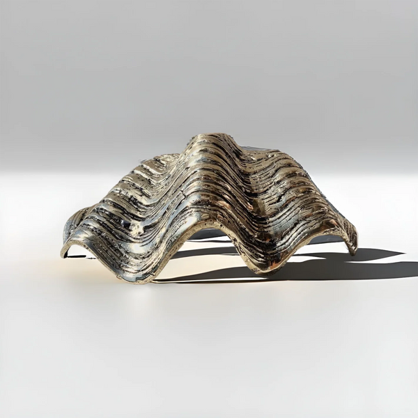 Brass Clam Shell