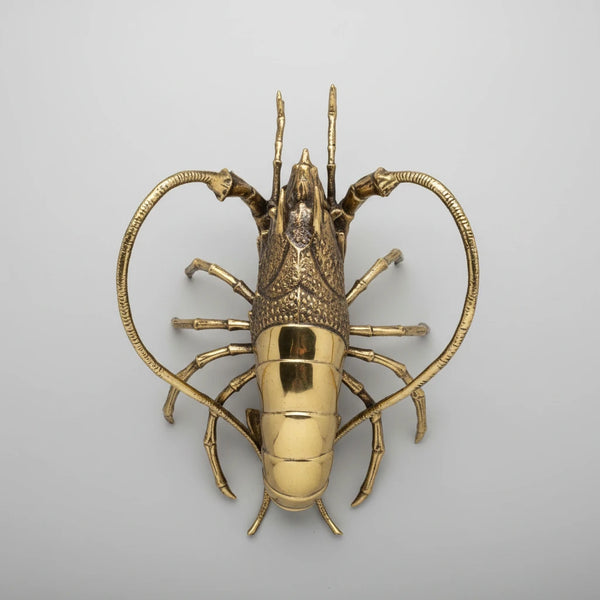 Brass Pacific Lobster