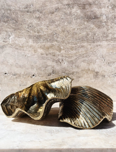 Brass Clam Shell