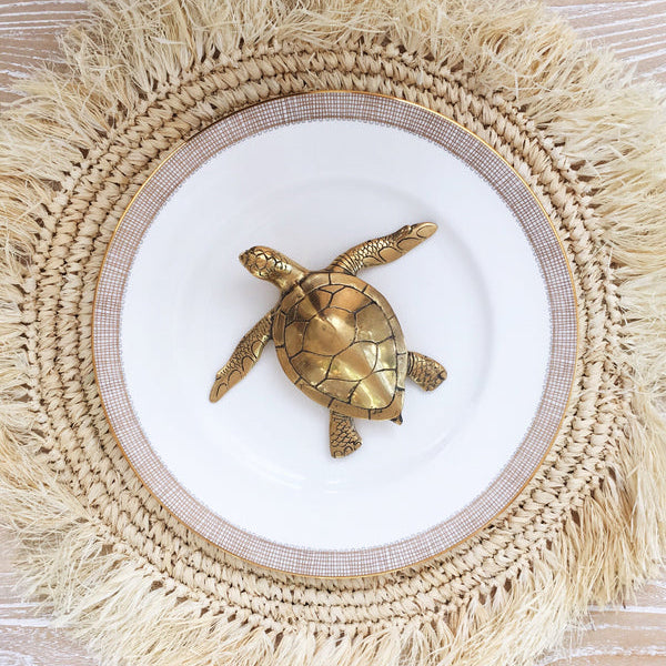 Brass Turtle
